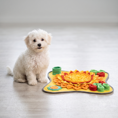 Snuffle Foraging Mat